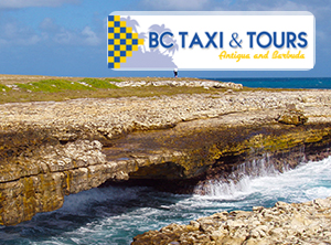 BC Tours and Taxi Service