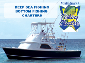 Deep Sea Bottom Fishing Charters