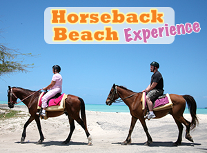 Horseback Beach Excursion
